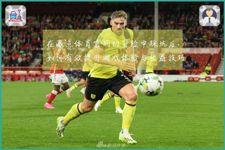 在赢点体育官网的冒险中踩坑后，如何有效提升游戏体验与收益技巧分享