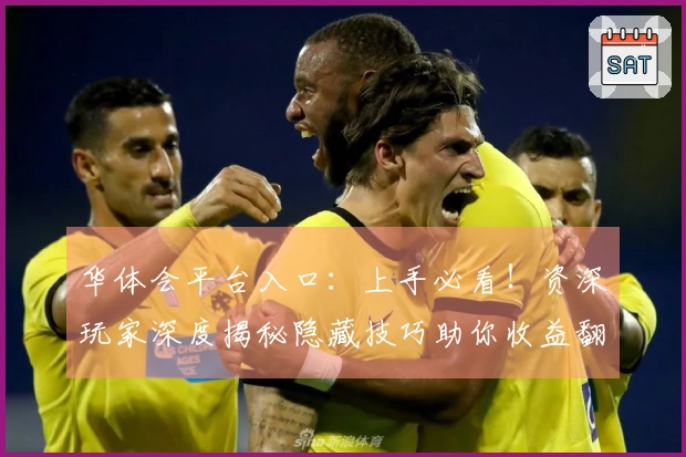 华体会平台入口：上手必看！资深玩家深度揭秘隐藏技巧助你收益翻倍