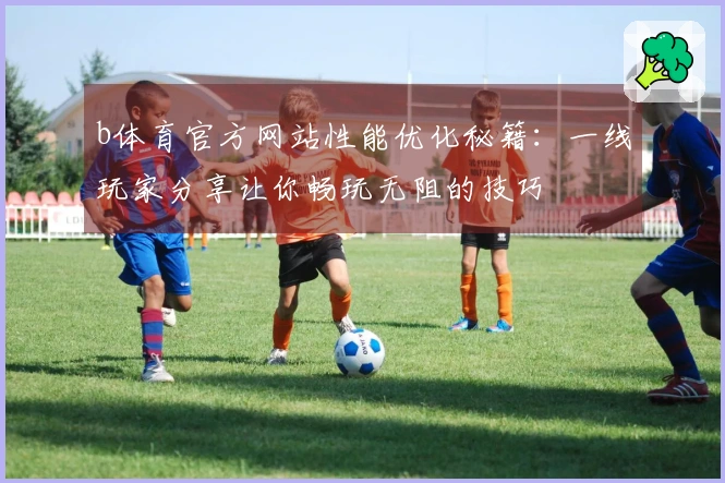 b体育官方网站性能优化秘籍：一线玩家分享让你畅玩无阻的技巧