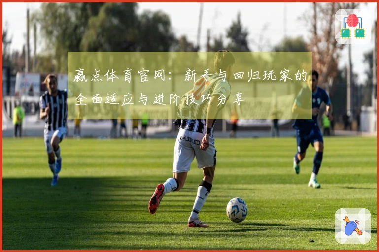 赢点体育官网：新手与回归玩家的全面适应与进阶技巧分享